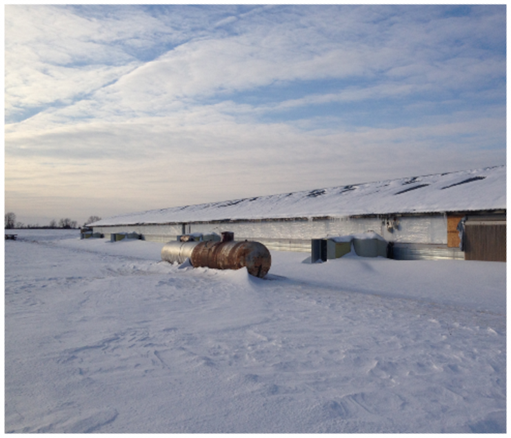 Energy efficiency in poultry production