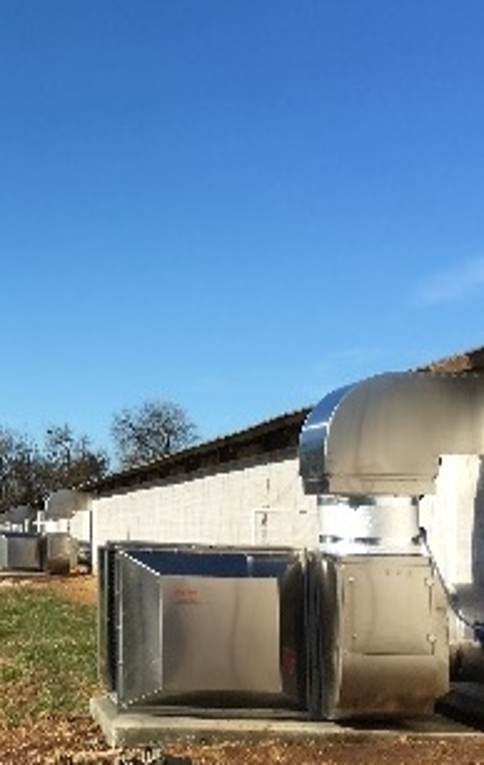 McLane West Liberty Turkey Farm waste heat recovery project